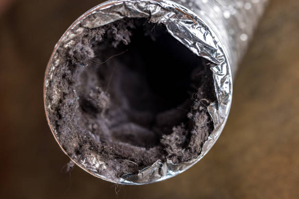 Best Local Air Duct Cleaning Services  in Park Layne, OH